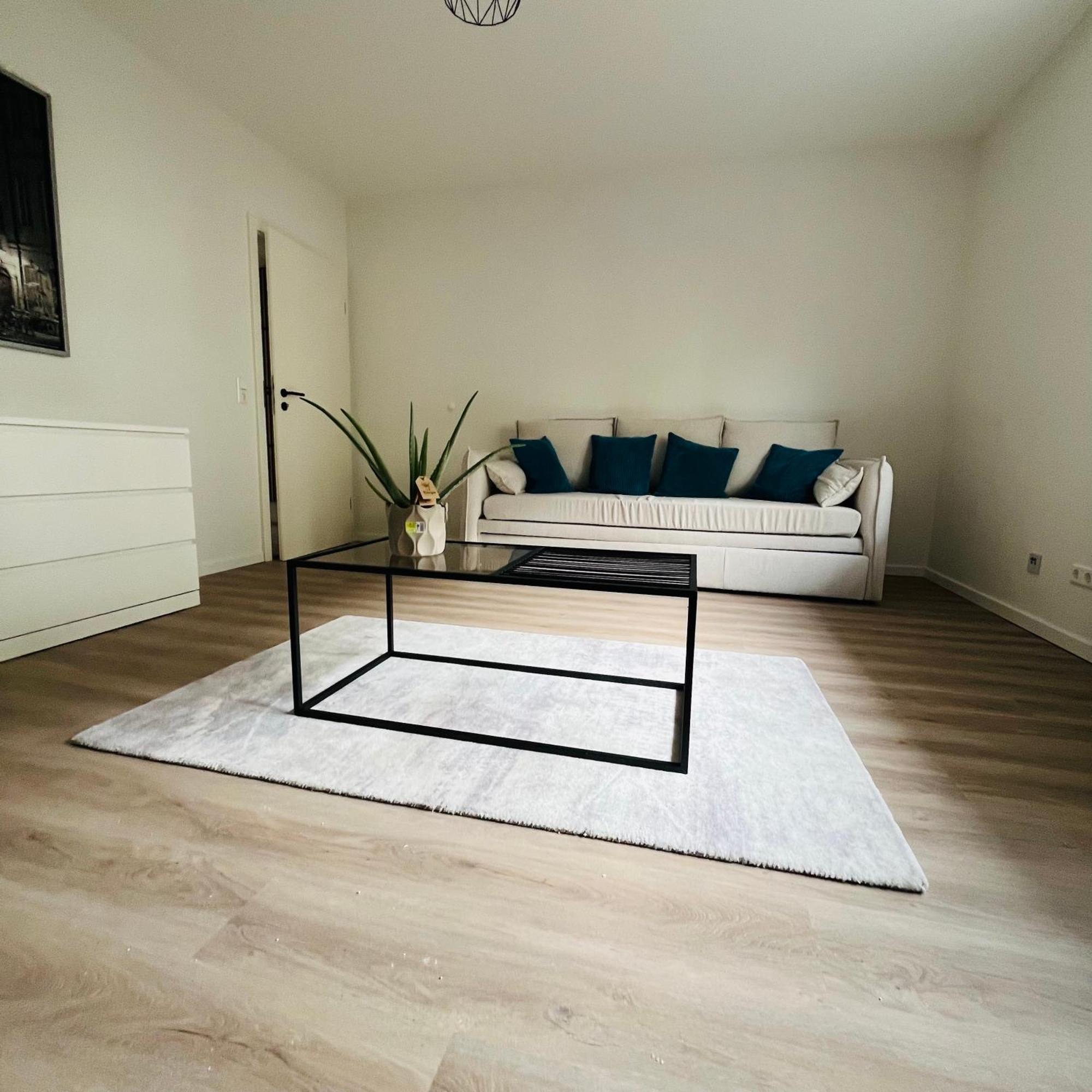 Black Forest City Apartment Mit Kostenlosem Parkplatz Freiburg im Breisgau Buitenkant foto